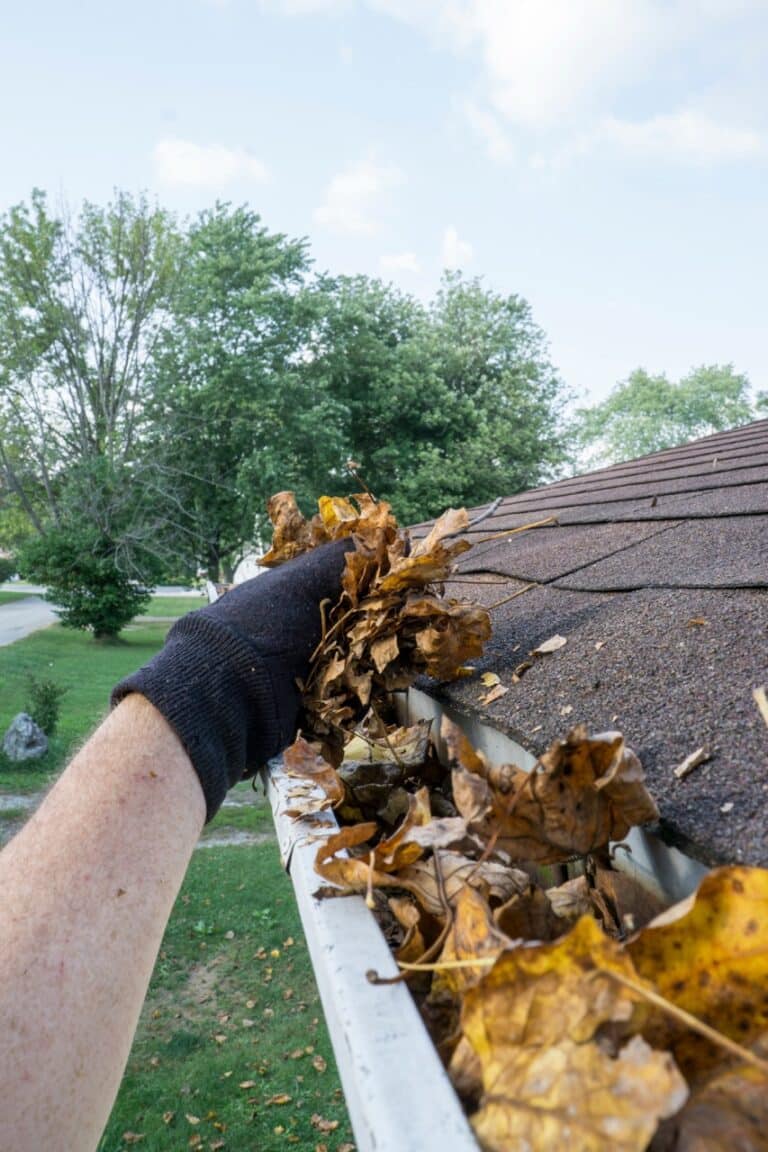 Cleaning Dry Leaves Out Of A Gutter