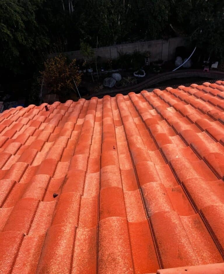 IMG 3537