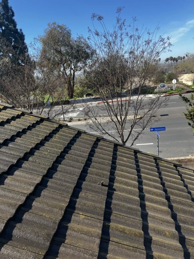 Martini Exterior Cleaning Media Status 2493 Large