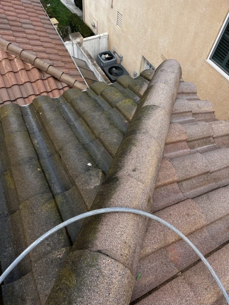 Martini Exterior Cleaning Media Status IMG 1685 Large