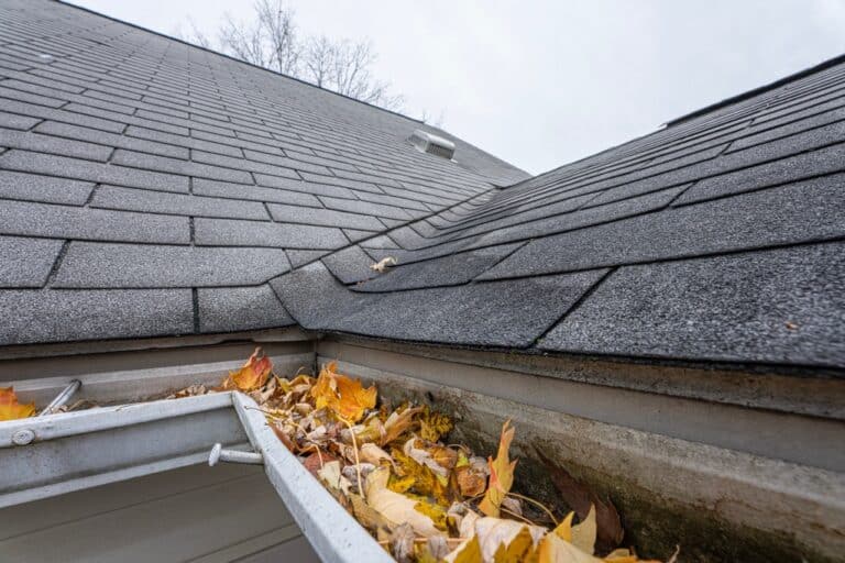 gutters are full of fall leaves and ice